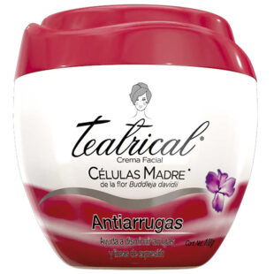 TEATRICAL CREMA ANTIARRUGAS 100 G(SF)